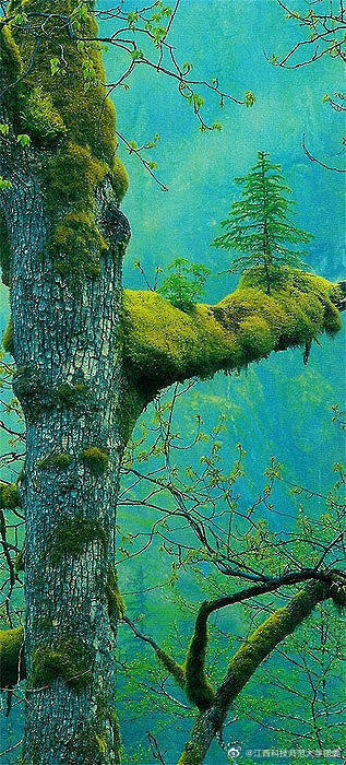 2、激光刻字機(jī)打塑膠出泡如何解決